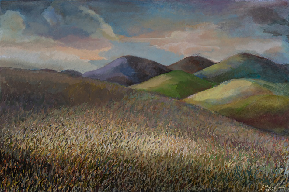 Artist Terry Matassoni - Paintings - The field