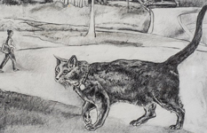 Artist Terry Matassoni - Works on paper - Stray cat (2018)