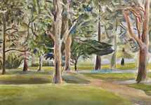 Artist Terry Matassoni - Works on paper - Local park (2022)