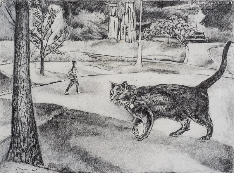 Terry Matassoni - Works on paper - Stray cat